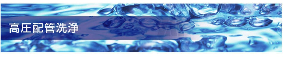 �����z�ǐ��