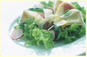 �{�݌x���̃|�C���g